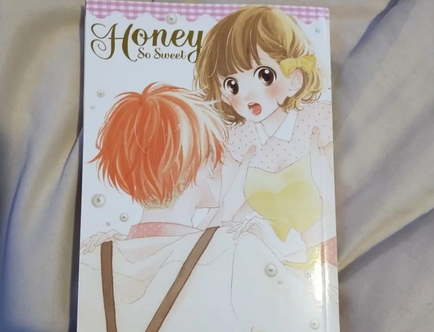 Tiểu thuyết tuổi teen "Honey So Sweet"